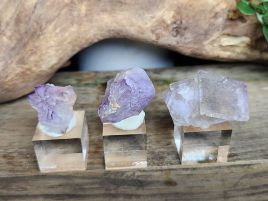 Petroleum Fluorite | Specimen