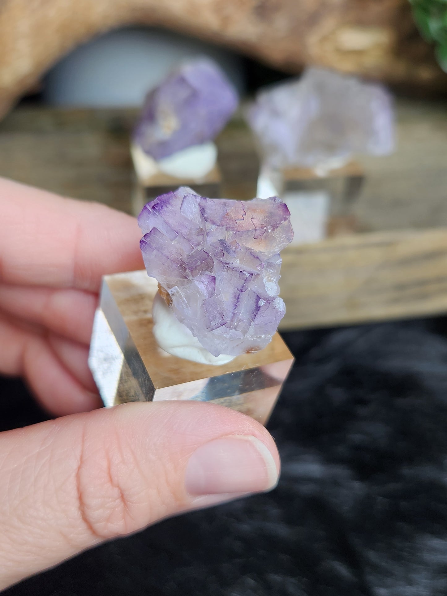 Petroleum Fluorite | Specimen