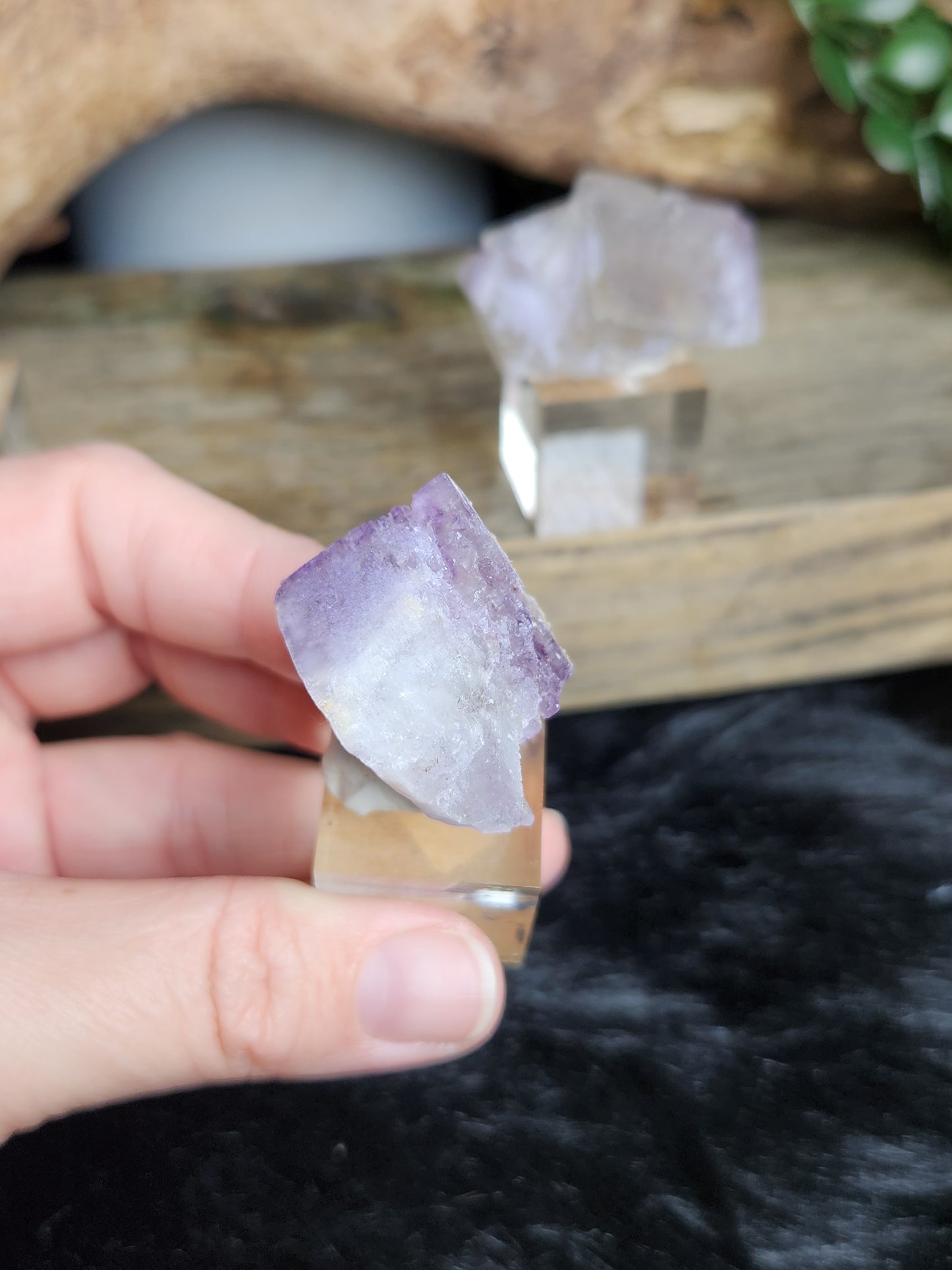 Petroleum Fluorite | Specimen