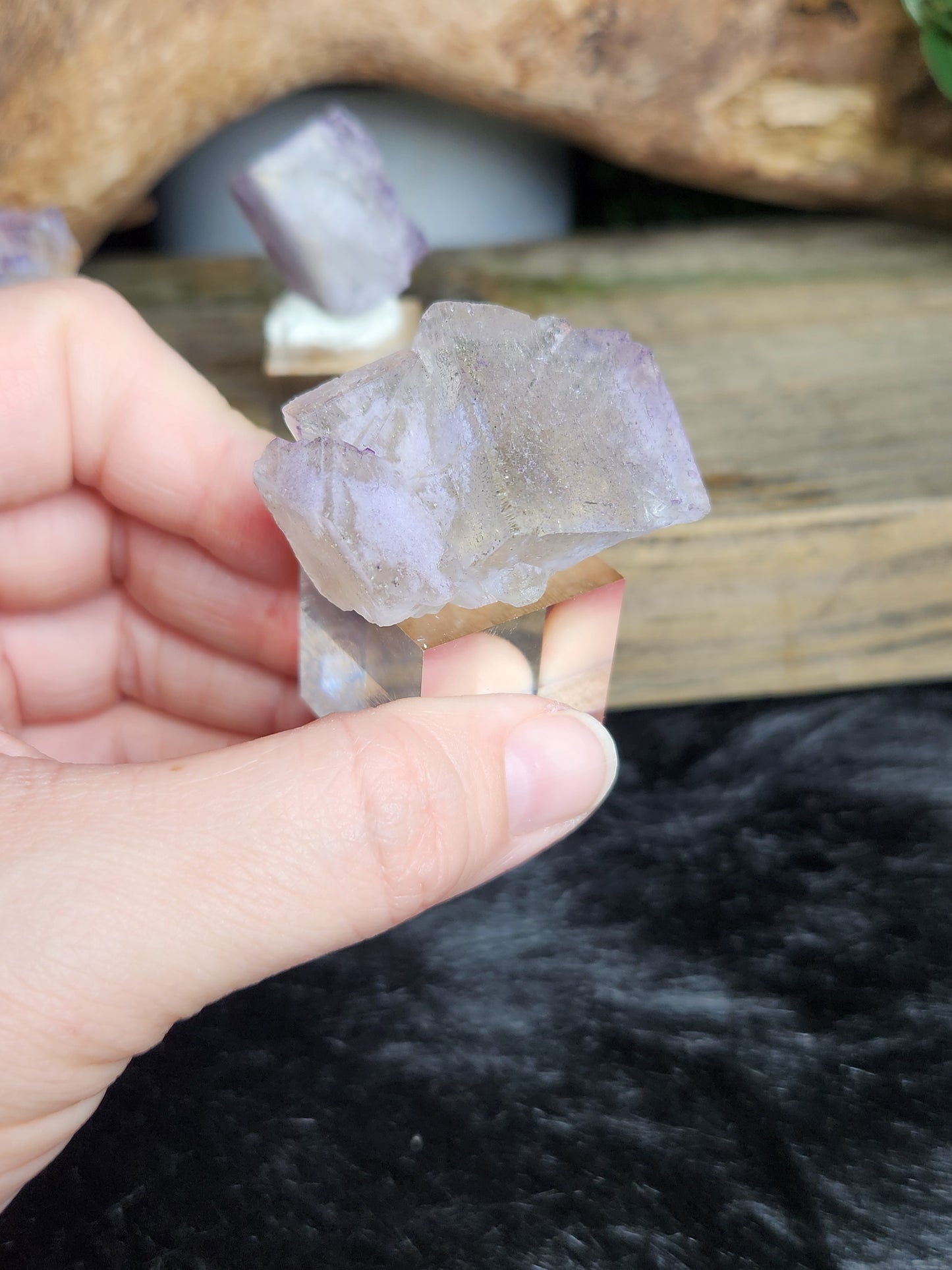 Petroleum Fluorite | Specimen