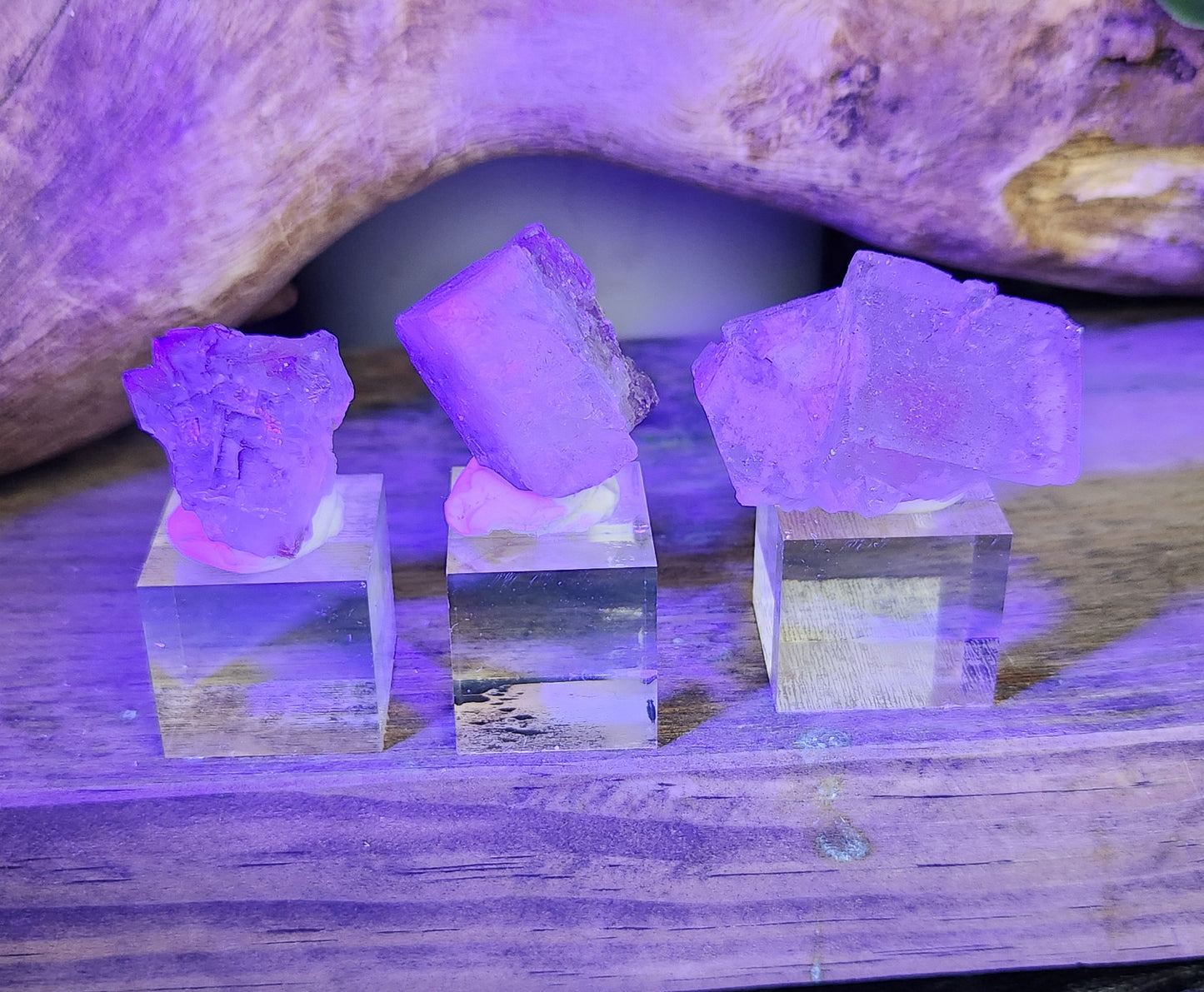 Petroleum Fluorite | Specimen