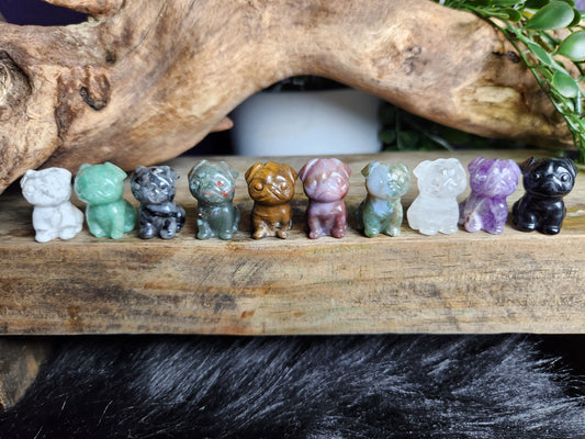 Assorted Mini Pug Puppies