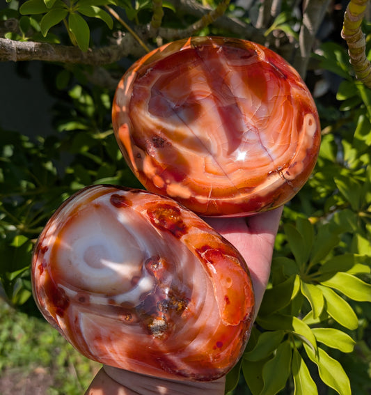 Carnelian | Bowls