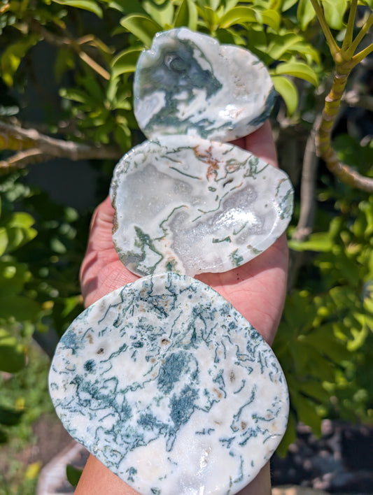 Tree Agate | Small Bowls